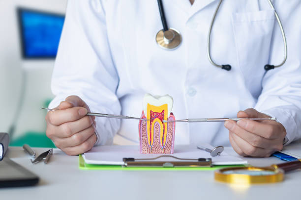 Best Walk-In Emergency Dental Services in Newport News, VA